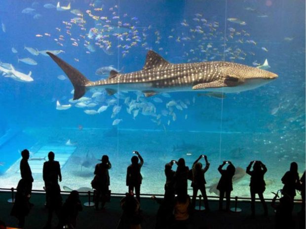 تصاویر دیدنی از دبی