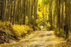 سفر به آمریکای شمالی