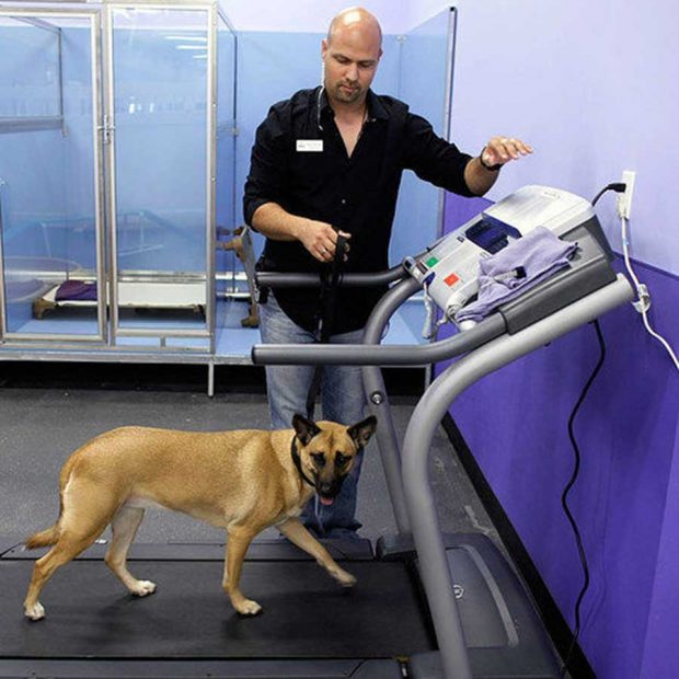 شگفت انگیز ترین هتل های جهان را به روایت تصویر 31 شگفت انگیز ترین هتل های جهان