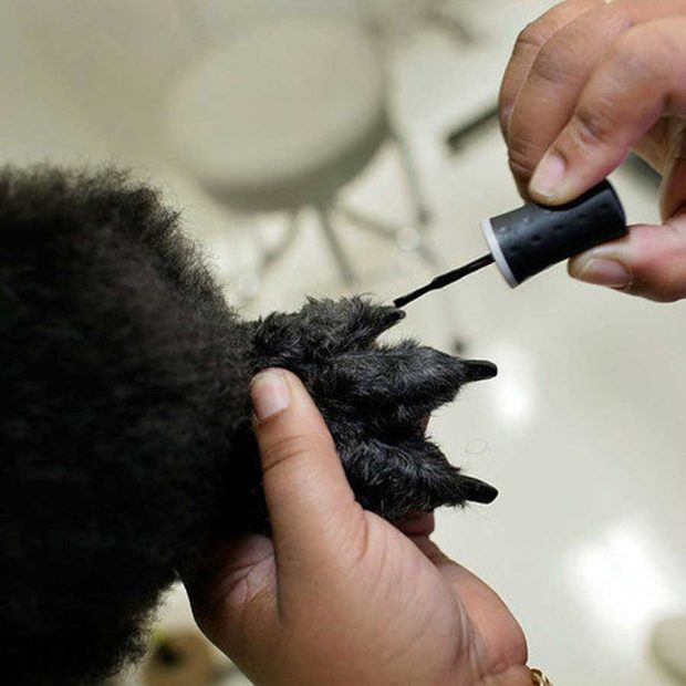 شگفت انگیز ترین هتل های جهان را به روایت تصویر 32 شگفت انگیز ترین هتل های جهان