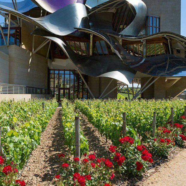 شگفت انگیز ترین هتل های جهان را به روایت تصویر 11 شگفت انگیز ترین هتل های جهان