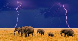 پر صاعقه ترین مناطق دنیا