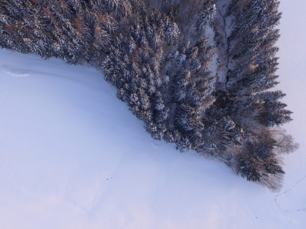 زمستان برفی