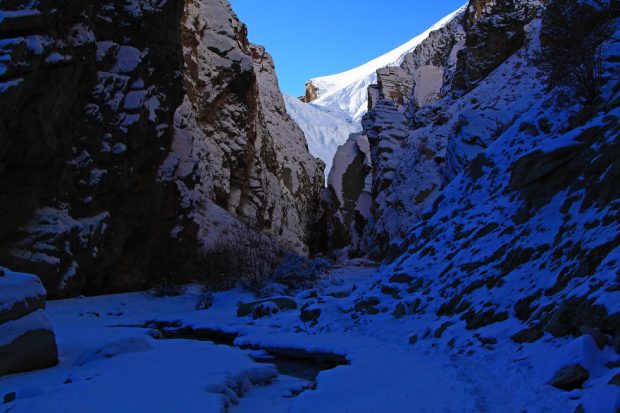 طبیعت دیده نشده کشور هندوستان از دریچه دوربین یک عکاس گمنام 16 طبیعت دیده نشده کشور هندوستان
