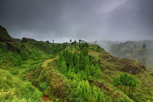 طبیعت دیده نشده کشور هندوستان از دریچه دوربین یک عکاس گمنام 2 طبیعت دیده نشده کشور هندوستان