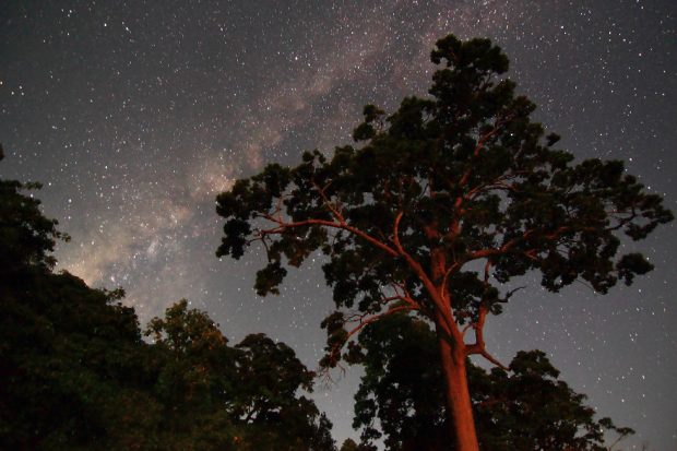 طبیعت دیده نشده کشور هندوستان از دریچه دوربین یک عکاس گمنام 20 طبیعت دیده نشده کشور هندوستان