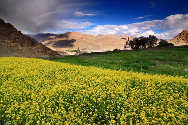 طبیعت دیده نشده کشور هندوستان از دریچه دوربین یک عکاس گمنام 4 طبیعت دیده نشده کشور هندوستان