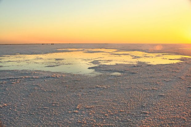 طبیعت دیده نشده کشور هندوستان از دریچه دوربین یک عکاس گمنام 7 طبیعت دیده نشده کشور هندوستان