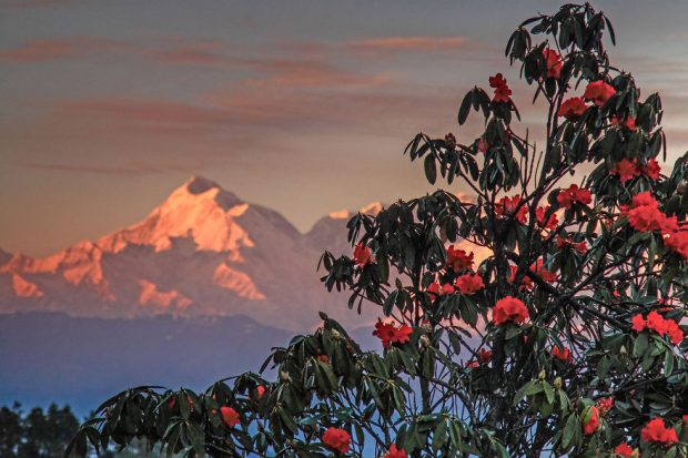 طبیعت دیده نشده کشور هندوستان از دریچه دوربین یک عکاس گمنام 13 طبیعت دیده نشده کشور هندوستان