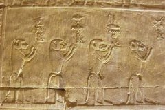 بابون ها ، نیروی حفاظتی مصریان باستان