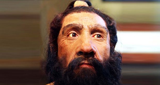 جمجمه قدیمی 4