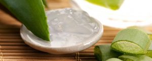 خواص درمانی آلوئه ورا