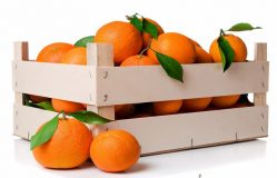 خوراکی هایی که انسان را جوان نگه می دارد