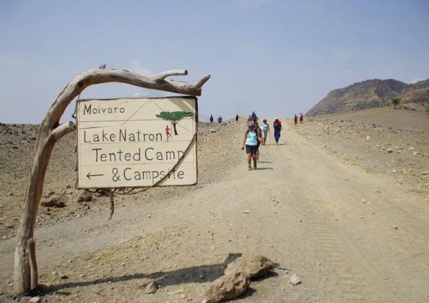 دریاچه مرموز ناترون در تانزانیا که حیوانات را مومیایی می کند 6 دریاچه مرموز ناترون