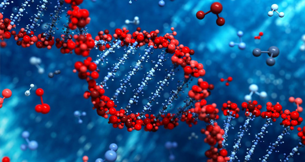ذخیره اطلاعات بر روی DNA انسان