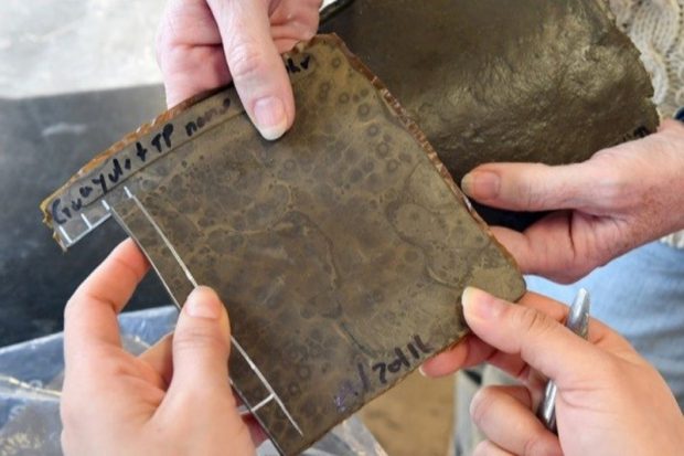 ساخت لاستیک خودرو