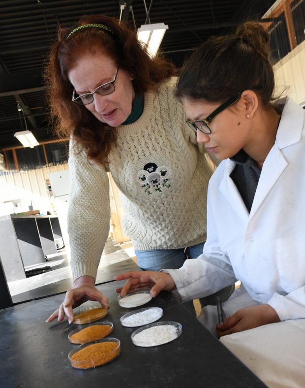 ساخت لاستیک خودرو