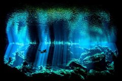 مسابقه عکاسی از دنیای زیر آب