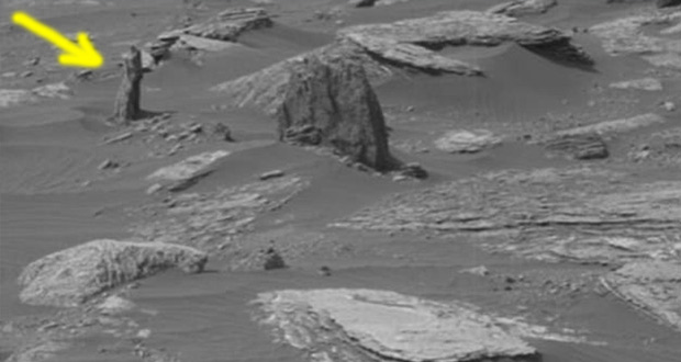 تنه درخت در مریخ
