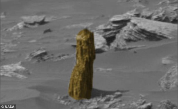 تنه درخت در مریخ