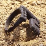 حلقه های ازدواج باستانی