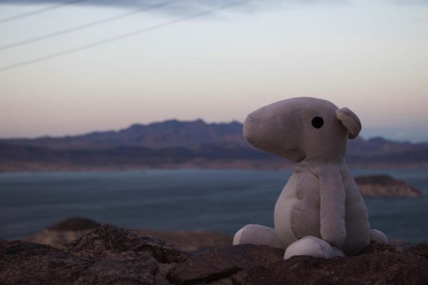 آغوش گرفتن مجازی دوستان با عروسک خرسی Parihug 4 عروسک خرسی Parihug