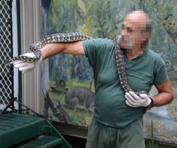 مار معتاد ۱۸۳سانتیمتری که سر از مرکز ترک اعتیاد درآورد ! 4 مار معتاد