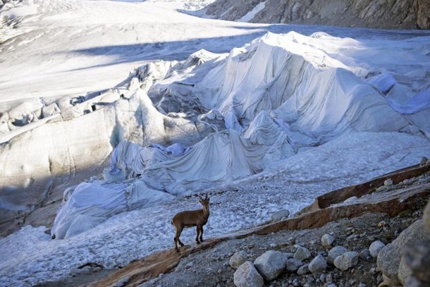 یخچال‌ های طبیعی آلپ