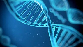 ذخیره اطلاعات بر روی DNA