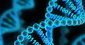ذخیره اطلاعات بر روی DNA