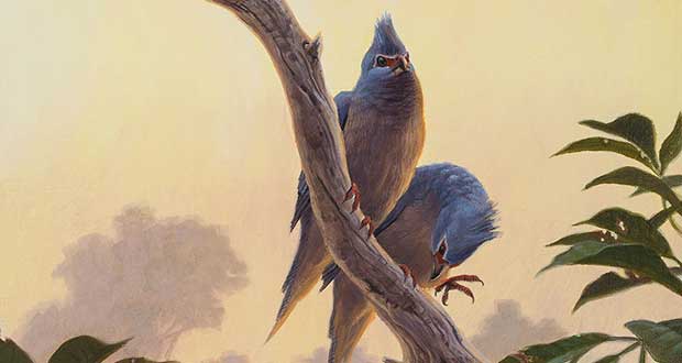 فسیل پرنده 62 میلیون ساله
