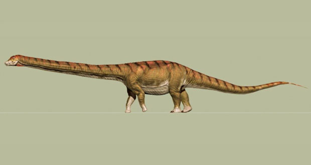 فسیل بزرگ‌ ترین دایناسور جهان