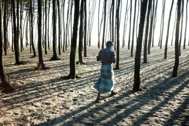 بهترین عکس های سال ۲۰۱۷