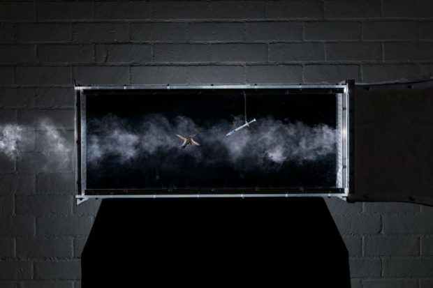 بهترین عکس های سال ۲۰۱۷