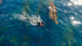 آکوا جت AquaJet 1 1