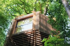 خانه درختی TREE HOUSE با الهام از آشیانه پرندگان طراحی و ساخته شد 10 خانه درختی