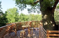 خانه درختی TREE HOUSE با الهام از آشیانه پرندگان طراحی و ساخته شد 11 خانه درختی