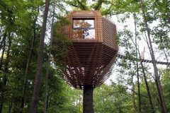 خانه درختی TREE HOUSE با الهام از آشیانه پرندگان طراحی و ساخته شد 8 خانه درختی