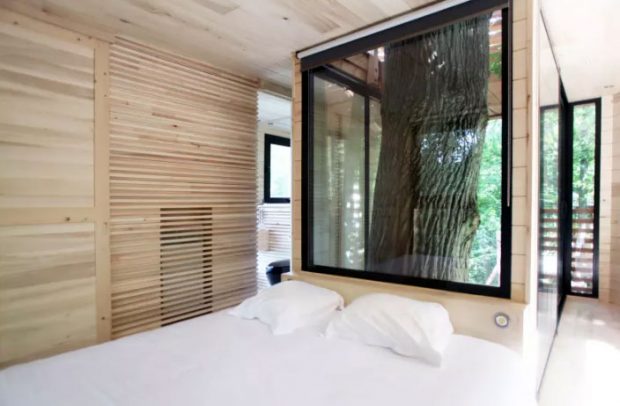 خانه درختی TREE HOUSE با الهام از آشیانه پرندگان طراحی و ساخته شد 4 خانه درختی