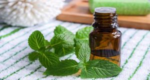 خواص دارویی روغن نعنا