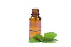 خواص دارویی روغن نعنا
