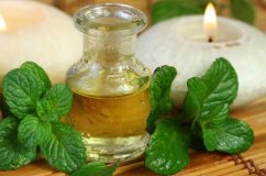 خواص دارویی روغن نعنا