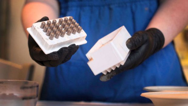 اکتشافات علمی جالب و شگفت انگیز سال 2017 میلادی + عکس 8 اکتشافات علمی جالب