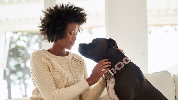 اکتشافات علمی جالب و شگفت انگیز سال 2017 میلادی + عکس 3 اکتشافات علمی جالب