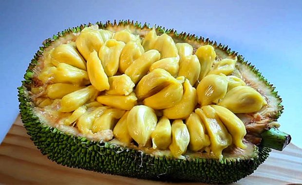 جک فروت jackfruit