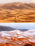 عجیب ترین تصاویر دنیا