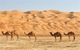 گرم ترین کشورهای جهان