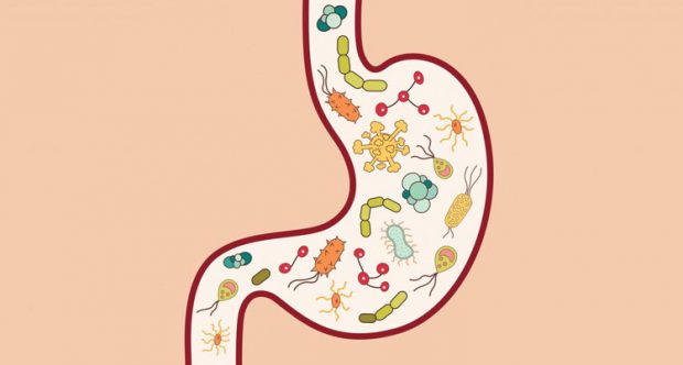 تقویت دستگاه گوارش