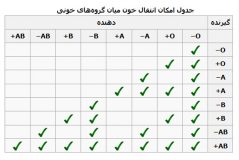 رازهای عجیب بدن انسان