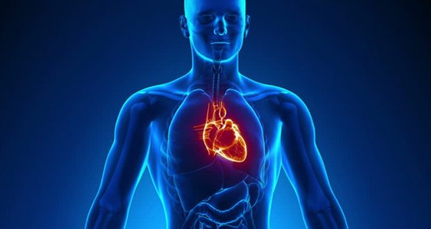 رازهای عجیب بدن انسان که علم پاسخ چندانی برای آن ندارد ؟ 6 رازهای عجیب بدن انسان